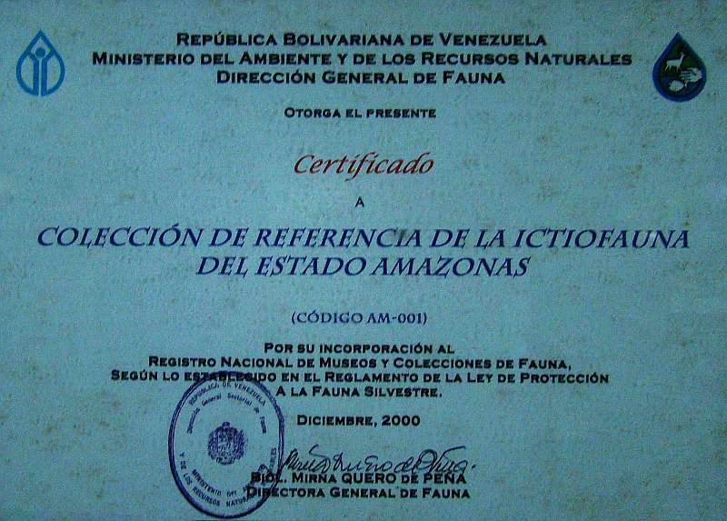 Museo de Referencia de la Ictiofauna del Estado Amazonas